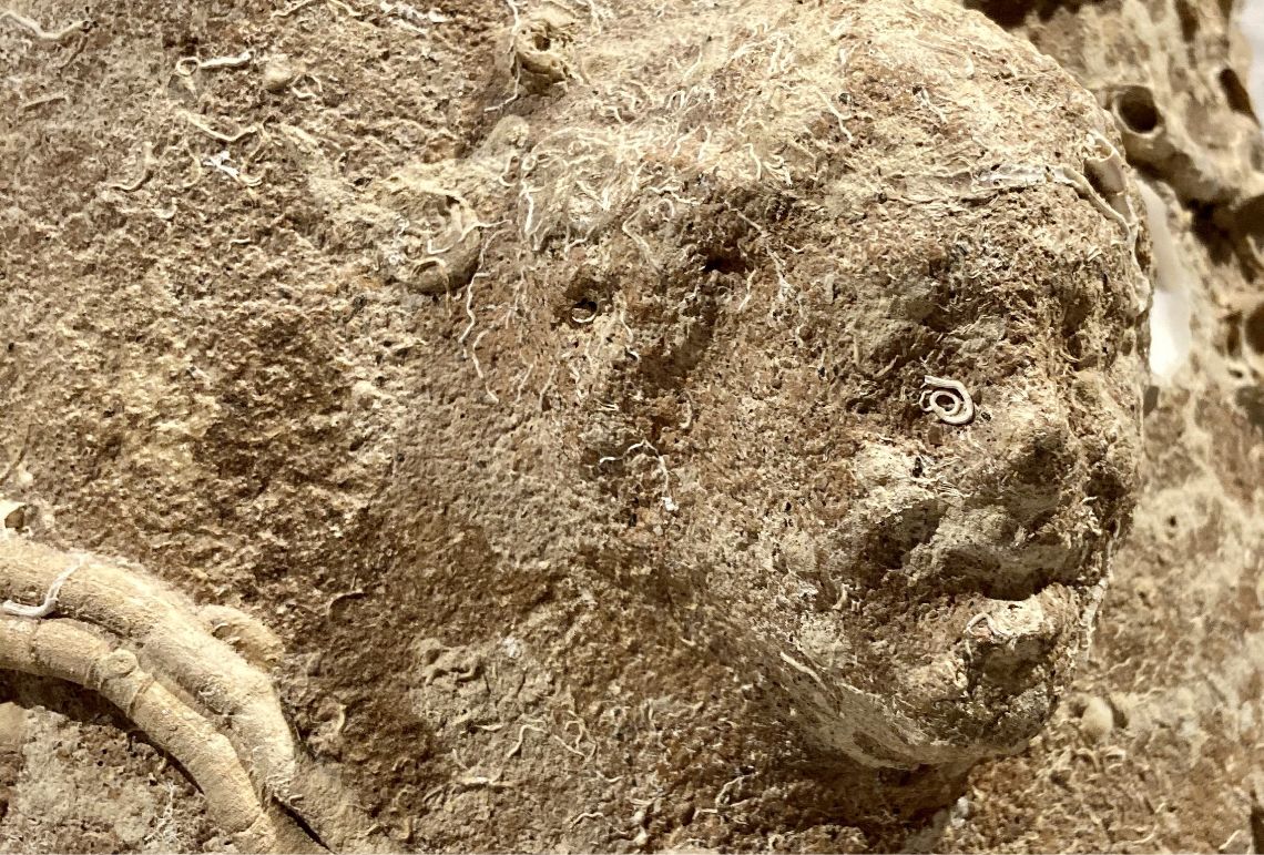 Valutazioni archeologiche